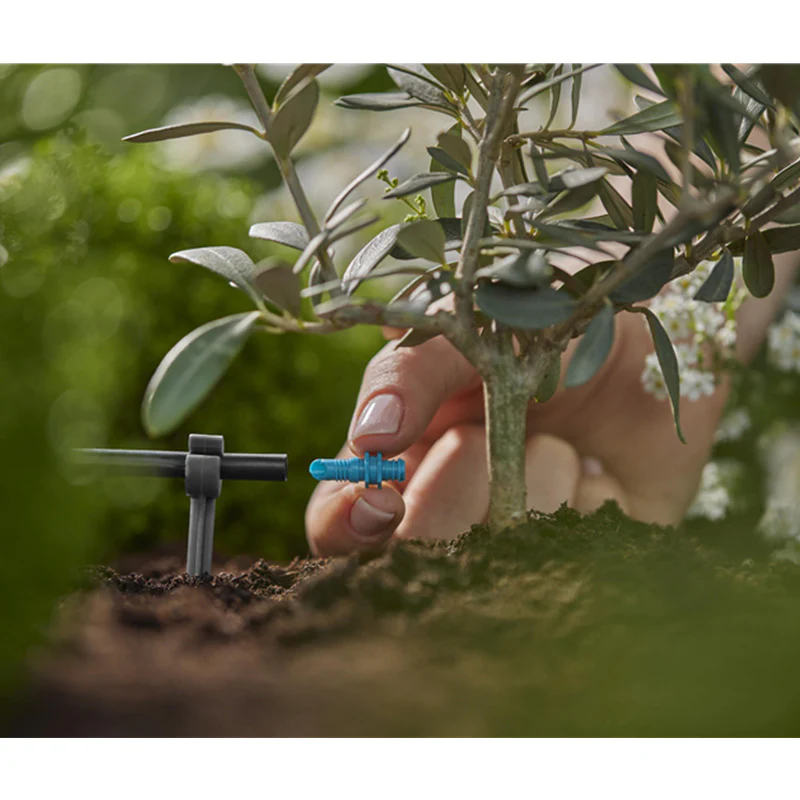 Miniature 5