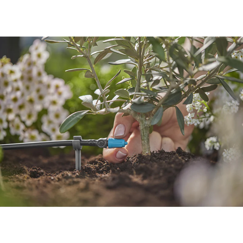 Miniature 5